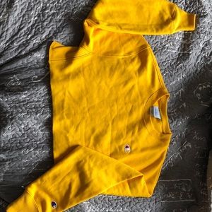 Champion Crop Sweater